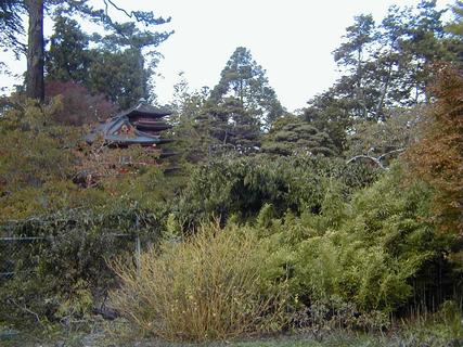 Japanese Gardens in Golden Gate Park<br>Location: <a href="https://www.google.com/maps/search/?api=1&query=37.77029,-122.47009" target="_new">Japanese Tea Garden, Golden Gate Park</a>